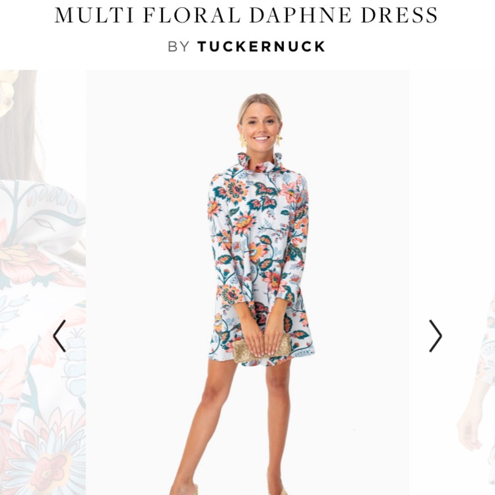 Daphne Dress by Tuckernuck XS